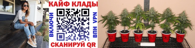 Наркота Покачи НБОМе  Мефедрон  АМФ  ГАШИШ  КОКАИН  Псилоцибиновые грибы 