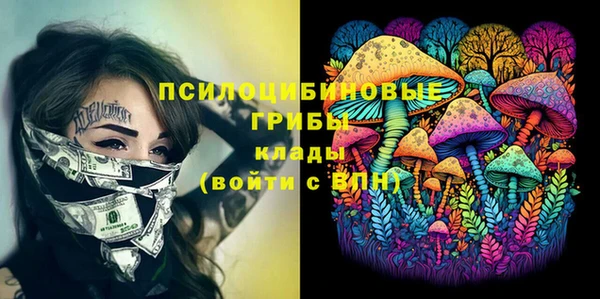 PSILOCYBIN Надым
