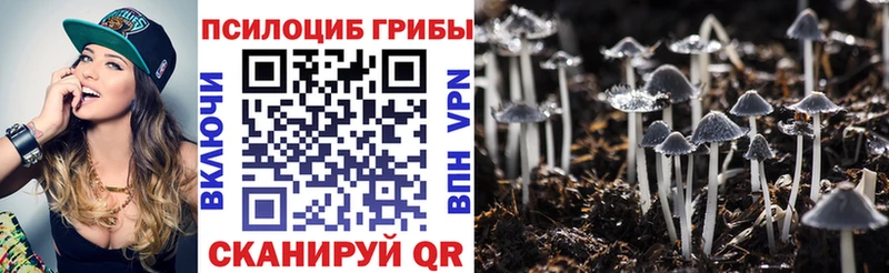 Псилоцибиновые грибы Cubensis  сколько стоит  Покачи 